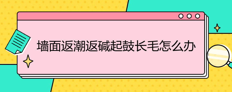 墙面返潮返碱起鼓长毛怎么办