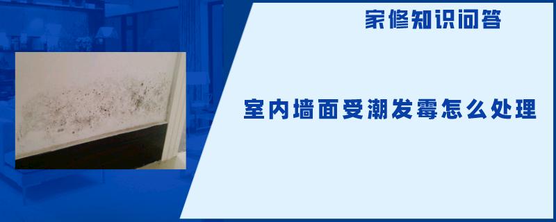 室内墙面受潮发霉怎么处理翻新 室内墙面受潮发霉怎么处理翻新