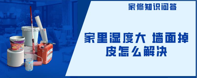 家里湿度大 墙面掉皮怎么解决 家里湿度大 墙面掉皮怎么解决