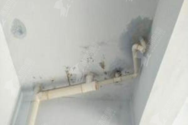 img1